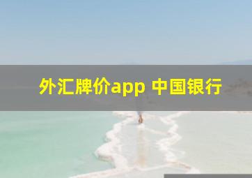 外汇牌价app 中国银行